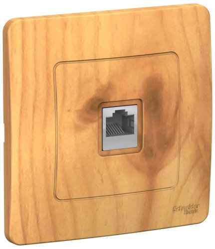 Розетка компьютерная с рамкой Systeme Electric Blanca 1-м. RJ45 5e ясень фото Розетка компьютерная с рамкой Systeme Electric Blanca 1-м. RJ45 5e ясень картинка